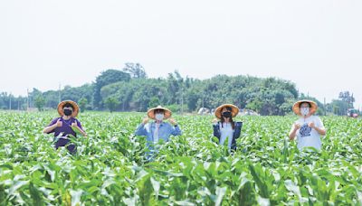 私立技職全台第一 朝陽科大 奪天下USR大學公民獎 - A19 活動資訊 - 20240503