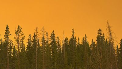 Multiple structures ablaze as wildfire roars into Jasper townsite