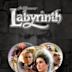 Die Reise ins Labyrinth