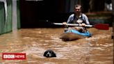 Inundações no Rio Grande do Sul: veja fotos de animais impactados pelas enchentes