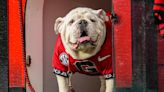 New Uga debuting at Georgia football spring game