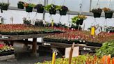 Three plant sales in May with plants ideal for Yakima growing conditions