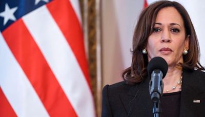 Elecciones EE.UU. 2024: ¿Llegó el momento de Kamala Harris?