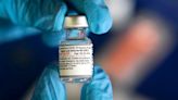 Pfizer seeks FDA authorization for omicron vaccine in kids under 5