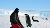 Workers in Antarctica Halt Snow Clearing So Penguin Can Check Out Their Tools