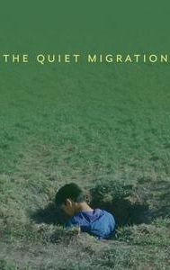 The Quiet Migration