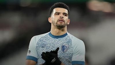 Dominic Solanke will be a 'great fit' for Tottenham, says Postecoglou