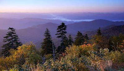 Word from the Smokies: Fall Eco-Adventure supports research into park biodiversity