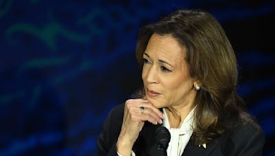 "I went to the Wharton School of Finance": Harris getting Trump flustered makes for great TV