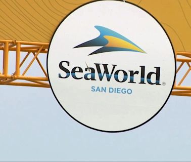 SeaWorld offering free tickets for veterans in May