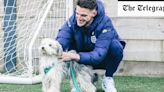 ‘Harry Canine and Collie Watkins’ give England pawfect Euro 2024 preparation in Crufts audition