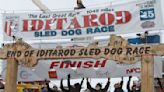 Iconic arch that served as Iditarod finish line collapses in Alaska. Wood rot is likely the culprit