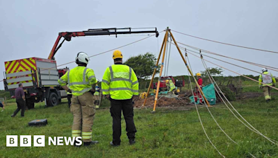 Cow rescued from mine shaft by firefighters in Cornwall