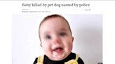 牧羊犬發狂！英國嫩嬰慘遭「咬破頭亡」 牠下場曝光│TVBS新聞網