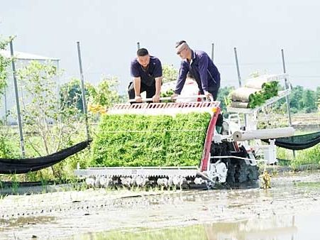 農糧署中區分署提升有機農業競爭力