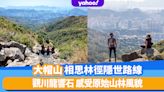 大帽山行山丨相思林徑隱世路線！觀川龍響石 感受原始山林風貌