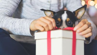 Mother’s Day Gift Guide 2024: The Most Thoughtful Gifts For Pet Moms