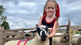 Seven year old Edie takes the championship at Lothersdale show