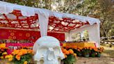 Flowers to attract souls of the dead. What to know about Day of the Dead weekend events