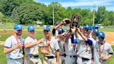 Baseball: Bonagura, Hoffman help Chapel Field win fourth straight Section 9 Class D title