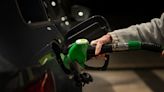 The future of diesel - BusinessWorld Online