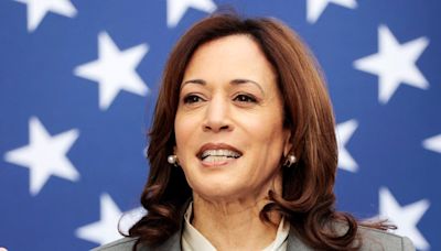 Kamala Harris says more Indian American representation is needed in government