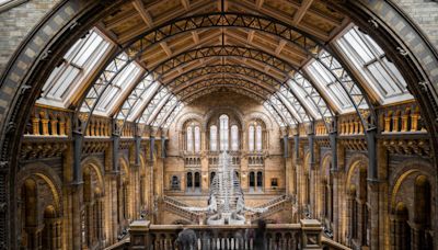 Our guide to the museums in London you should visit, from Science Museum to the V&A