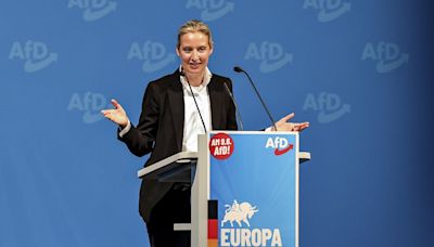 AfD and allies form new far-right group in Brussels called Europe of Sovereign Nations