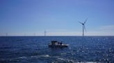 Beneath offshore wind turbines, researchers grow seafood and seaweed