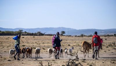 Communities in Kenya fight carbon project that sold credits to Meta, Netflix