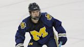 Former Michigan hockey player files defamation lawsuit against website for calling him antisemitic