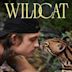 Wildcat (2022 film)