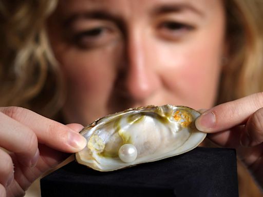 Abernethy Pearl expected to fetch up to £60,000 at auction