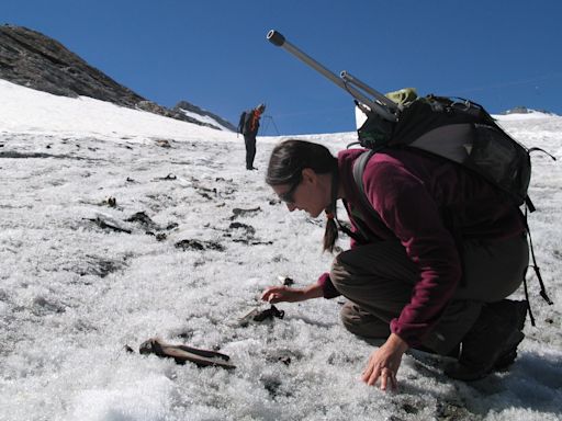 Photos show the mysterious ancient objects that mountaineers are finding on the Alps' melting glaciers