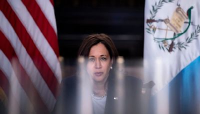 Así piensa Kamala Harris, la elegida por Biden para enfrentar a Trump | Una vicepresidenta acostumbrada a romper records