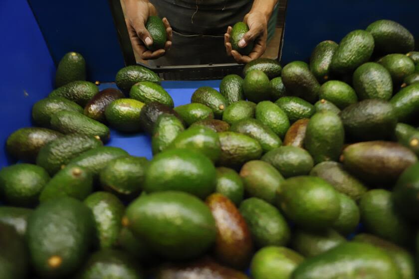 The U.S. and Mexico settle their avocado standoff — but not without a dig from the Mexican president