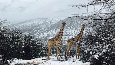 El Sudáfrica ocurre un hecho metereológico inusual