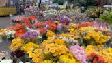 Commercial Flower Power: How the Global Flower Trade Continues to Blossom