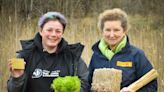 Peatland restoration project to grow reeds which will go to help insulate homes