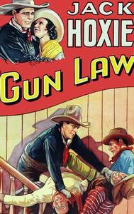 Gun Law (1933 film)