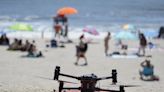 Birds vs. Drones: NYC beach patrol faces backlash from shorebirds