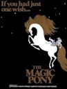 The Magic Pony