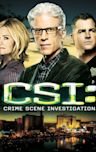 CSI: Crime Scene Investigation - Season 13