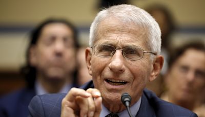 Anthony Fauci heckled by audience during appearance before Congress