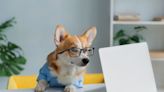 Dog Mom Lists Funny ‘Jobs’ Her Corgi and Other Pups Are Qualified For