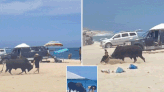 Distressing moment wild bull attacks a tourist in front of onlookers on popular Mexico beach: ‘Get away!’