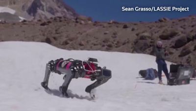 Robot dog training to walk on the moon on Mt. Hood