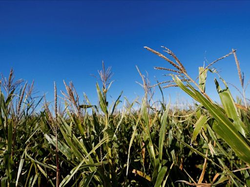 Argentina cambia secretario de Agricultura