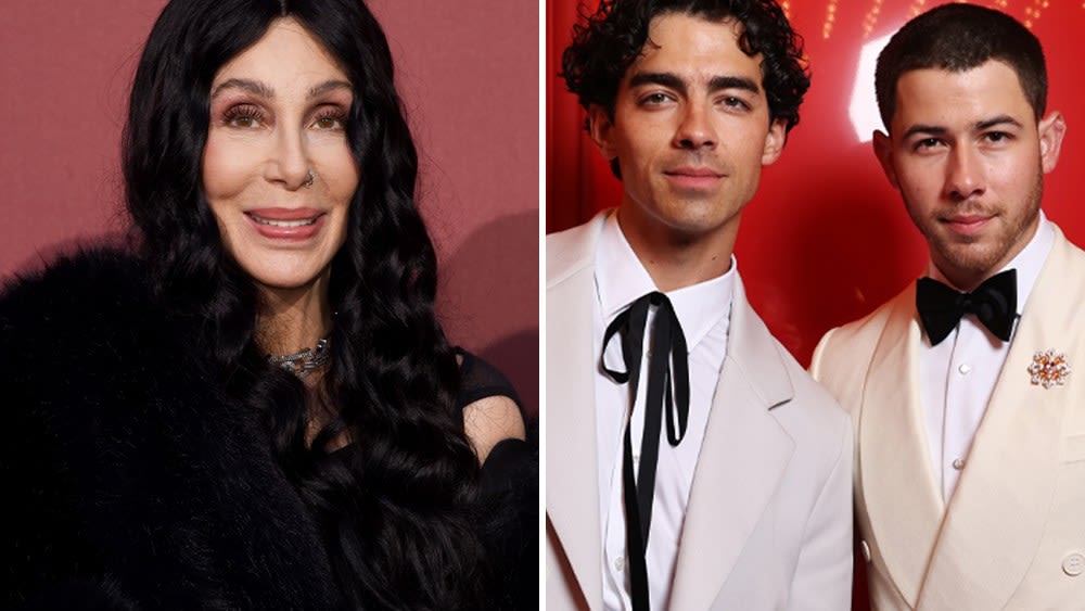 Cher and Two Jonas Brothers Rock Out at Dazzling 30th amfAR Cannes Gala