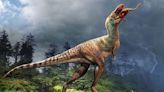 Discovery of baby dinosaur remains inside fossil of tyrannosaur could shed new light on its eating habits